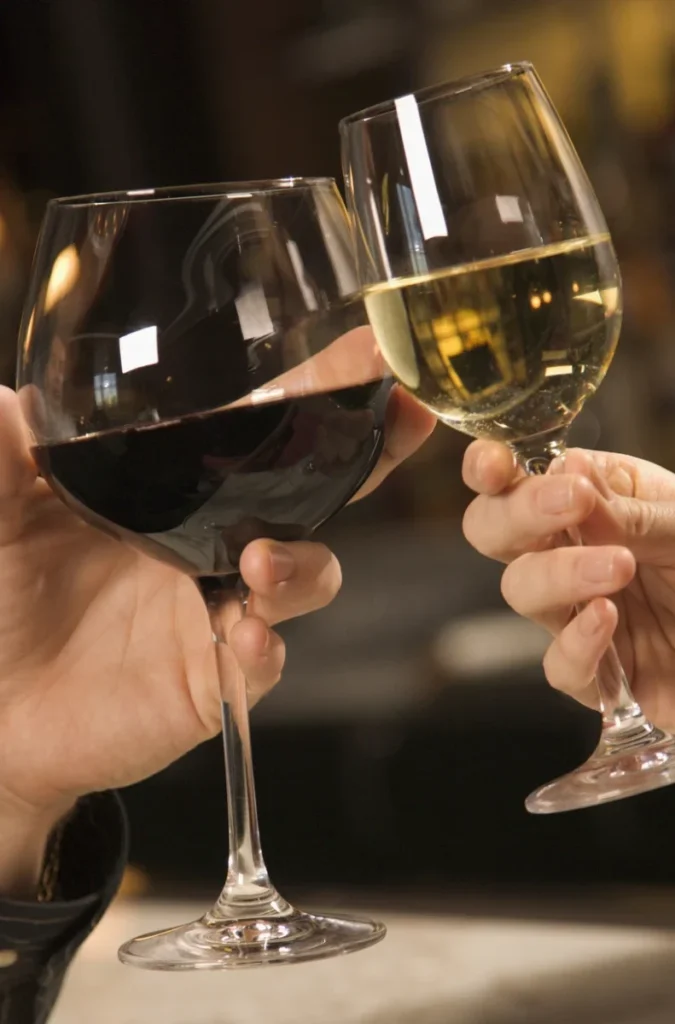 Wine tasting in Panská zahrada